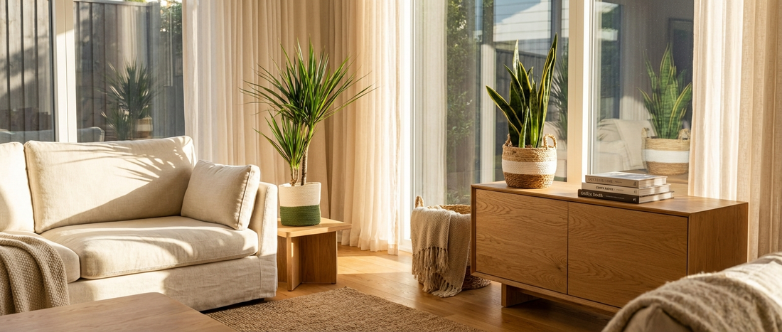 ¿Qué plantas purifican mejor el aire?