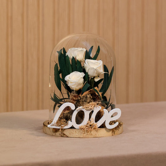 Cupula pequeña con rosas preservadas