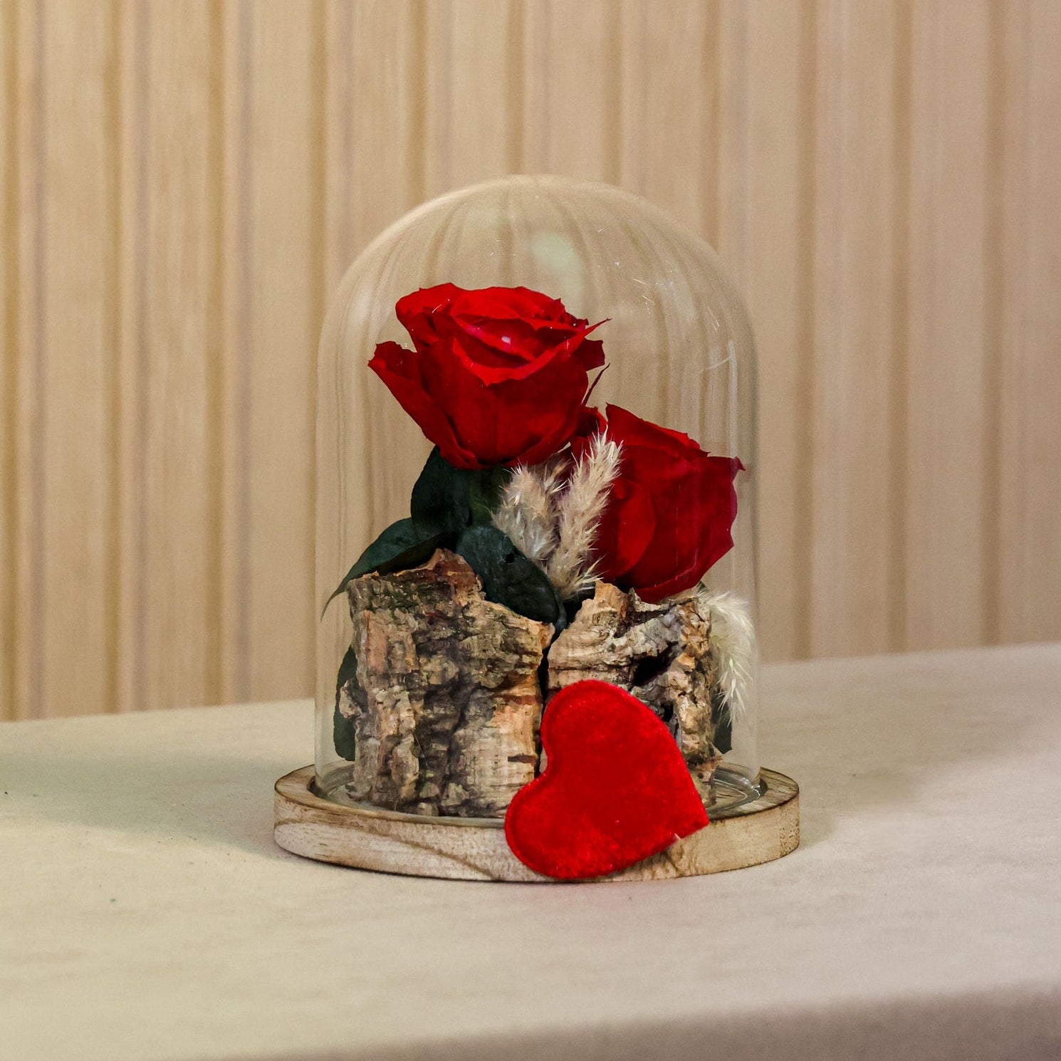Cupula pequeña con rosas rojas preservadas